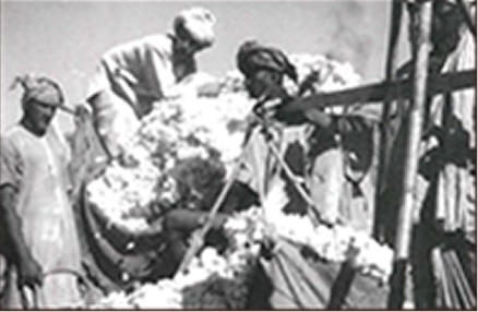 Sojitz Company History Image