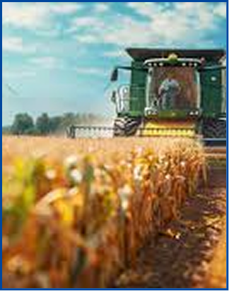 Developing agriculture  platform Lifestyle Business