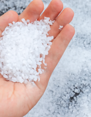 Biodegradable Plastic